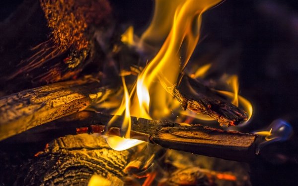 Photography Fire Wood Flame HD Wallpaper | Background Image