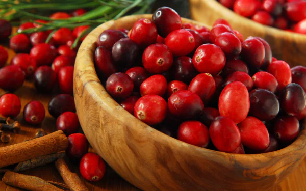 food cranberry HD Desktop Wallpaper | Background Image