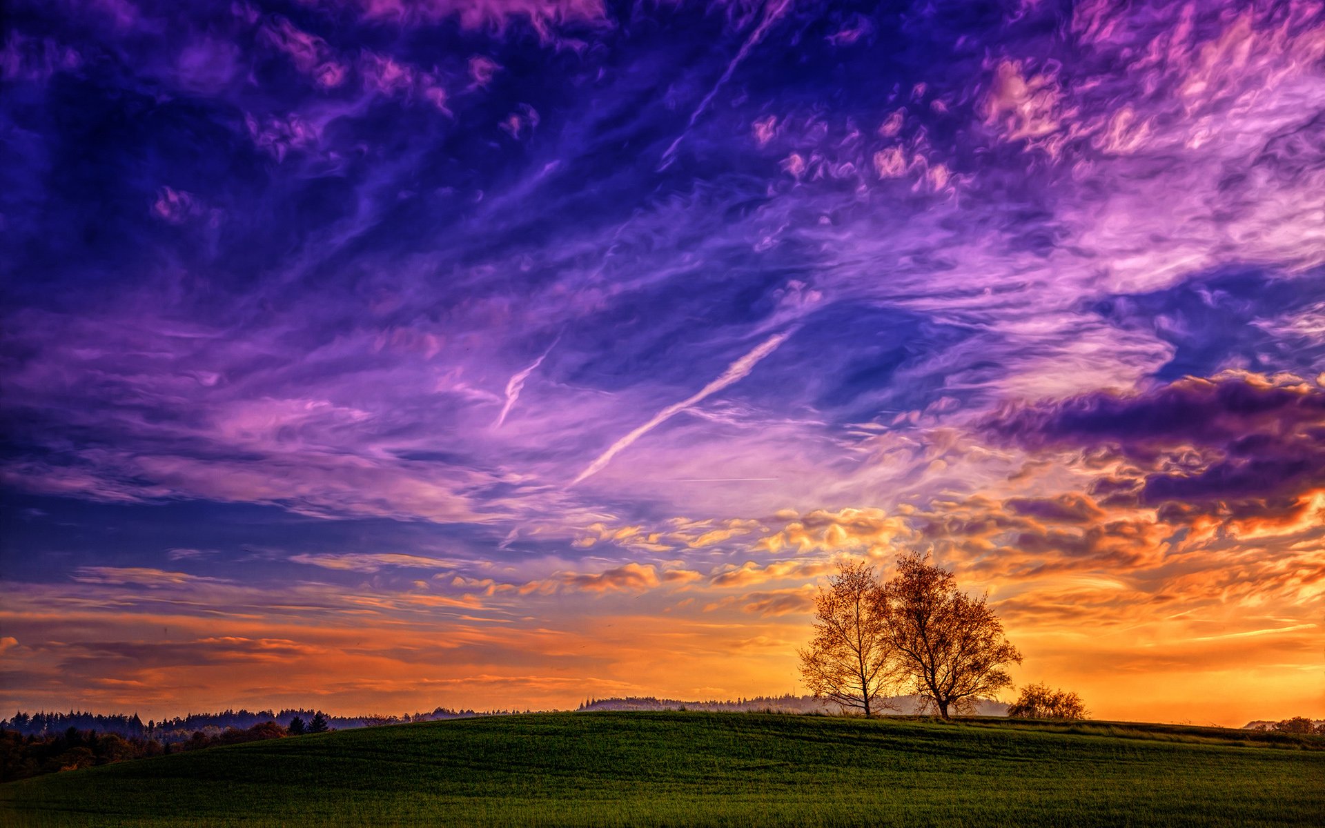 HD desktop wallpaper of a vibrant sunset with dynamic purple and gold clouds over a serene landscape featuring a lone tree on a lush hill.