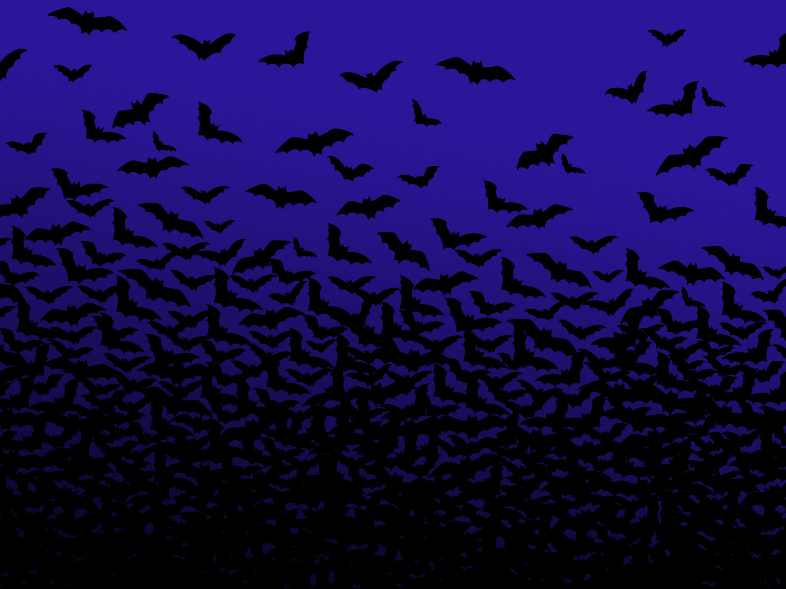 Animal Bat HD Wallpaper | Background Image