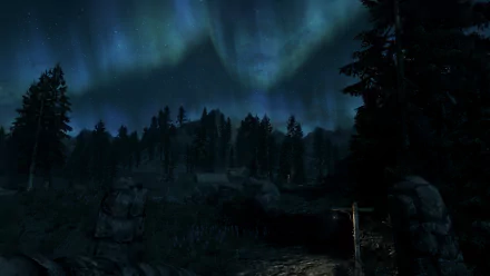 Nighttime landscape from The Elder Scrolls V: Skyrim featuring a forest under vibrant northern lights, captured in HD for a PC desktop wallpaper and background.