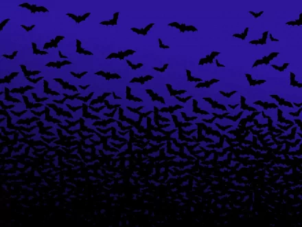 An HD wallpaper featuring a swarm of bats flying against a gradient blue to black background, tagged with Animal and bat.