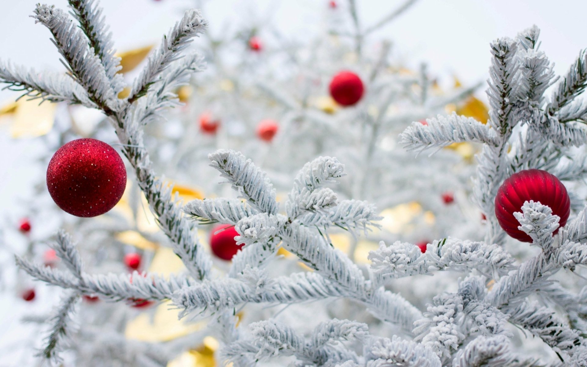 HD PC desktop wallpaper featuring snowy branches adorned with red Christmas ornaments, capturing a festive holiday atmosphere.