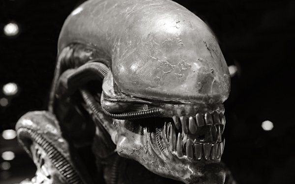 Movie Alien HD Wallpaper | Background Image