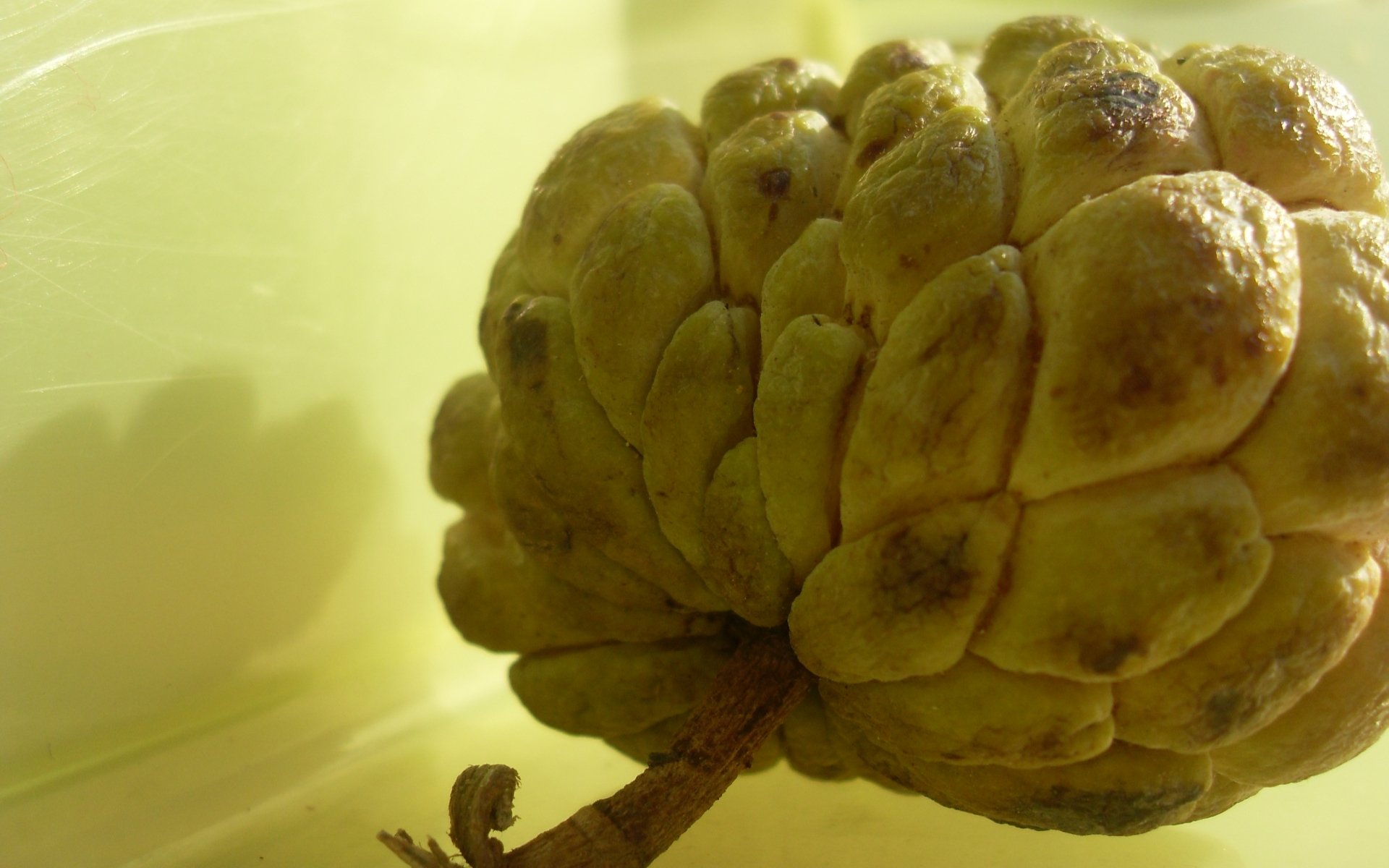 Download Food Sugar Apple HD Wallpaper