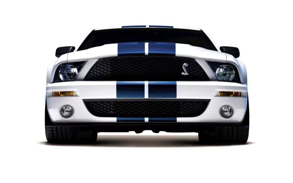 vehicle ford mustang cobra HD Desktop Wallpaper | Background Image