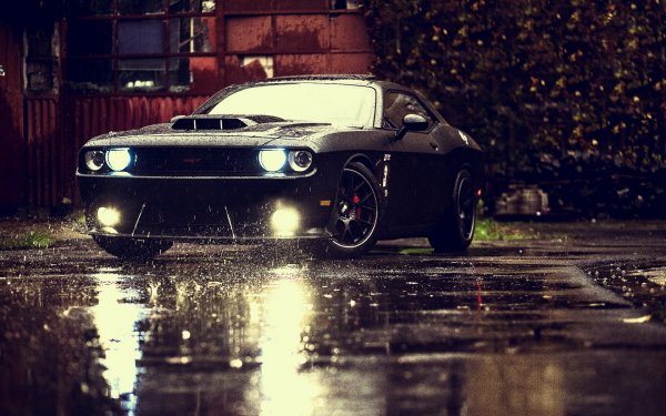 HD desktop wallpaper featuring a black Dodge vehicle parked on a wet road, illuminated by its headlights with a blurred autumnal background.