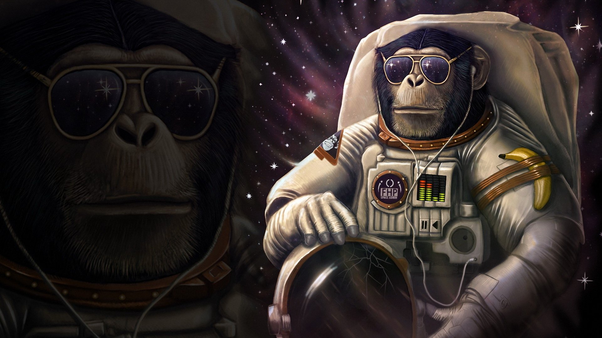 Space Chimp Papel De Parede Hd Plano De Fundo 1920x1080 Id