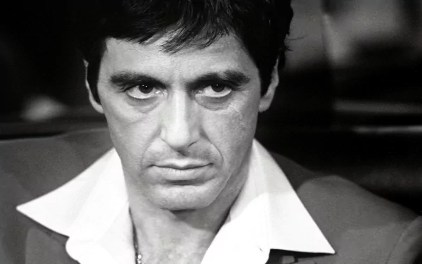 Al Pacino movie Scarface HD Desktop Wallpaper | Background Image