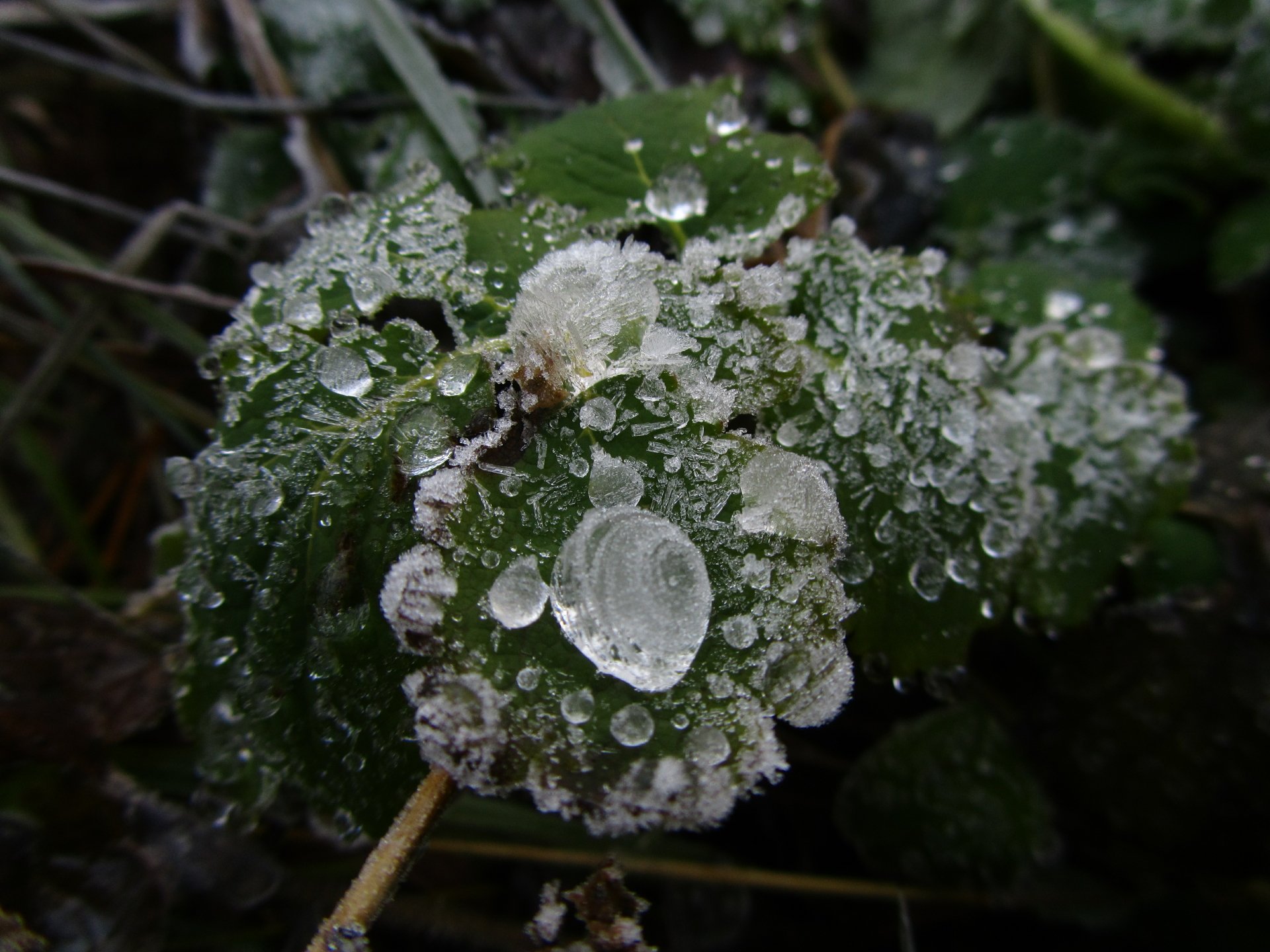 Download Nature Ice 4k Ultra HD Wallpaper by Vergilius