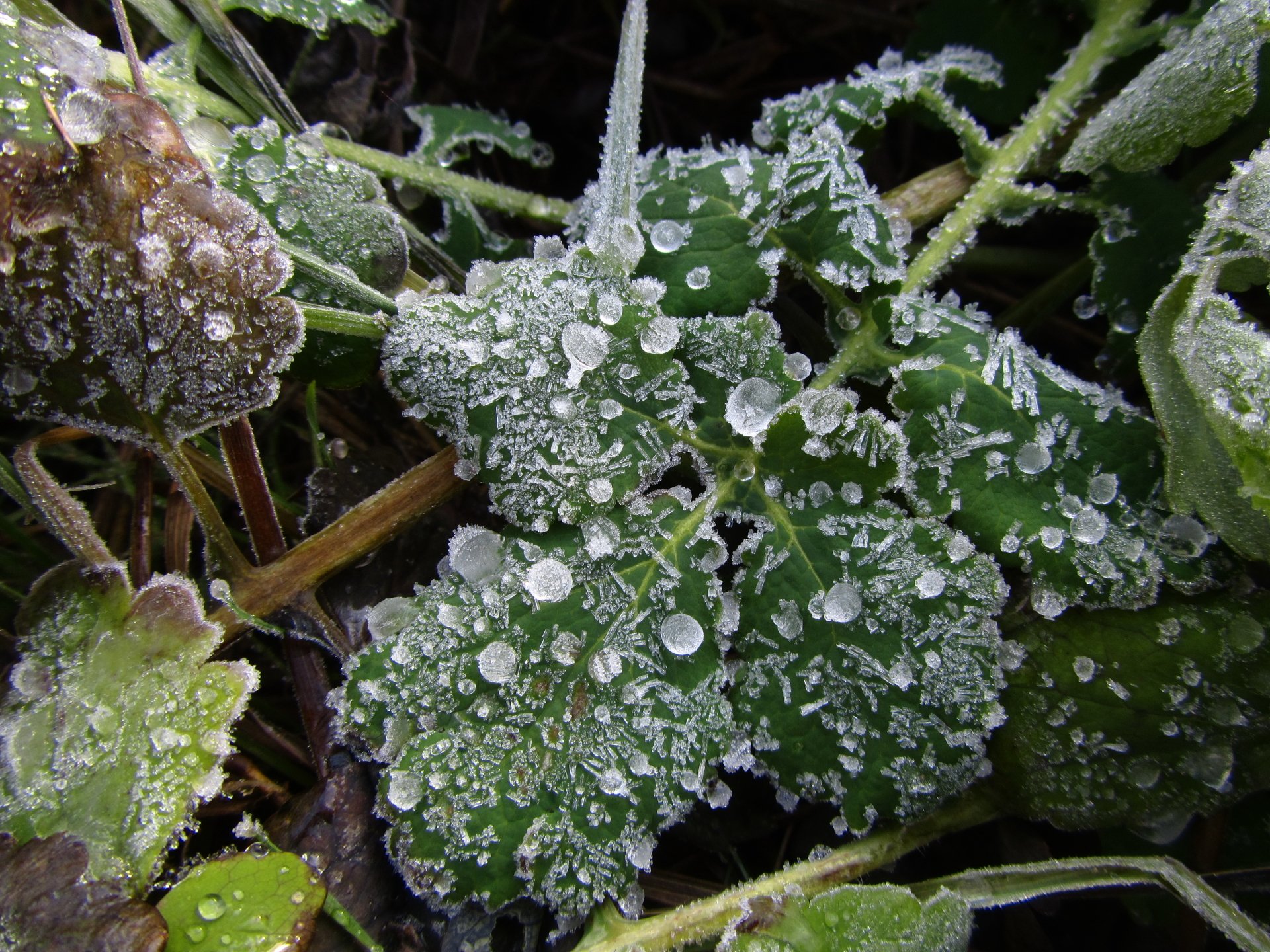 Download Nature Ice 4k Ultra HD Wallpaper by Vergilius