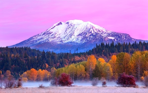 Nature Mountain Mountains Forest Fall Mount Adams Washington HD Wallpaper | Background Image