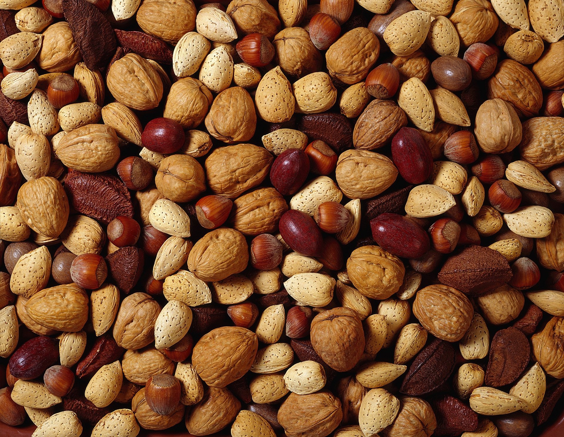 Download Food Nut HD Wallpaper