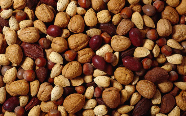 food nut HD Desktop Wallpaper | Background Image