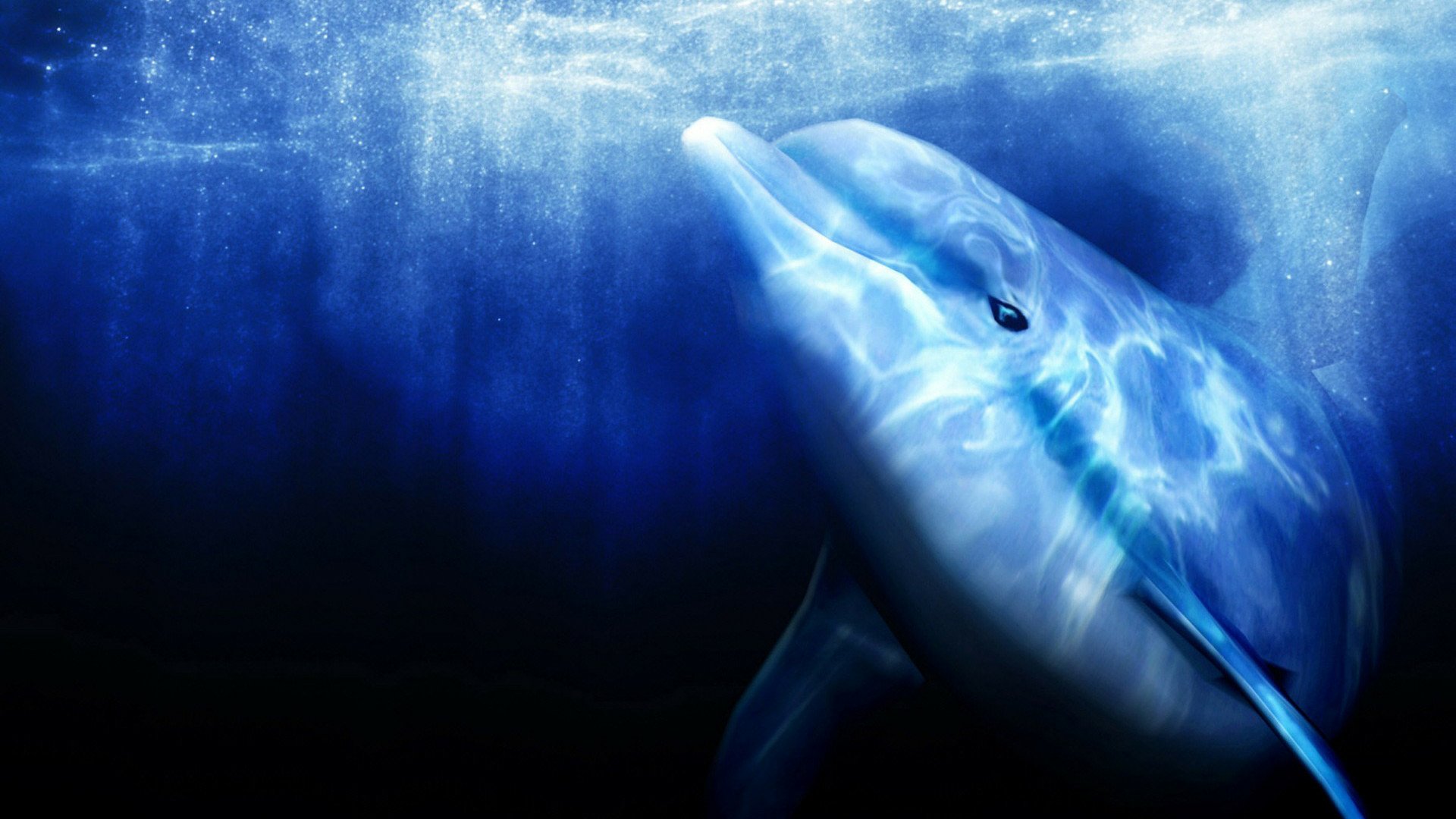 Download Video Game Ecco The Dolphin  HD Wallpaper