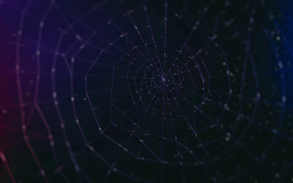 photography spider web HD Desktop Wallpaper | Background Image