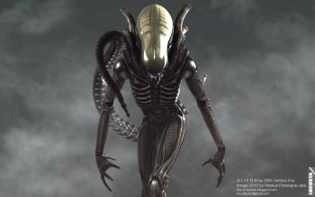 170 Alien O Oitavo Passageiro Papeis De Parede Hd Planos De Fundo
