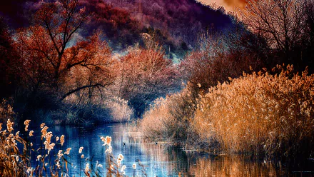 nature river HD Desktop Wallpaper | Background Image