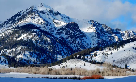 Winter landscape of Snowy Mountain in Idaho: snow-covered peaks, pine-clad slopes and bare aspens beneath a blue sky — 2K Quad HD PC desktop wallpaper.