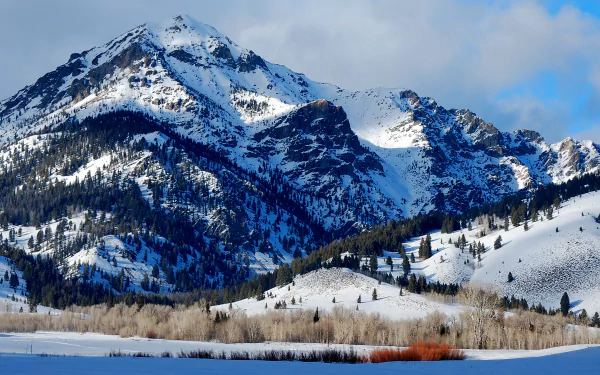Winter landscape of Snowy Mountain in Idaho: snow-covered peaks, pine-clad slopes and bare aspens beneath a blue sky — 2K Quad HD PC desktop wallpaper.