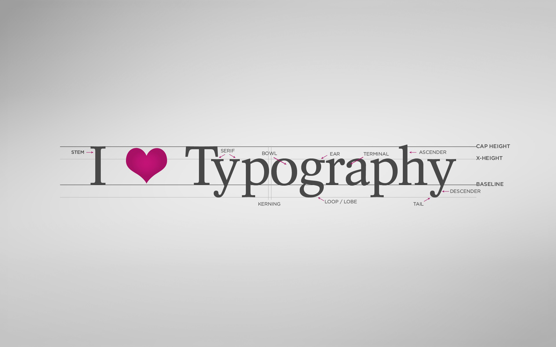 Artistic Typography HD Wallpaper | Background Image