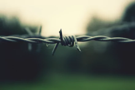 Close-up of a sharp barb on a man-made barbed wire fence, captured with a blurred natural background, presented as an HD PC desktop wallpaper.