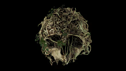 HD PC desktop wallpaper featuring a detailed skull entwined with roots and foliage, inspired by the video game The Forest.