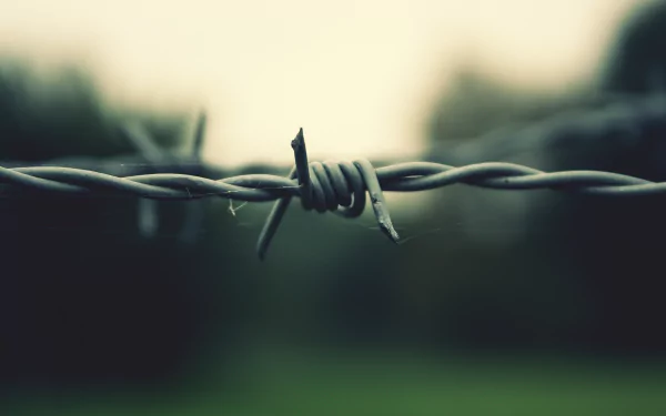 [20+] Barb Wire Wallpapers