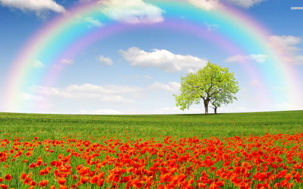 nature rainbow HD Desktop Wallpaper | Background Image