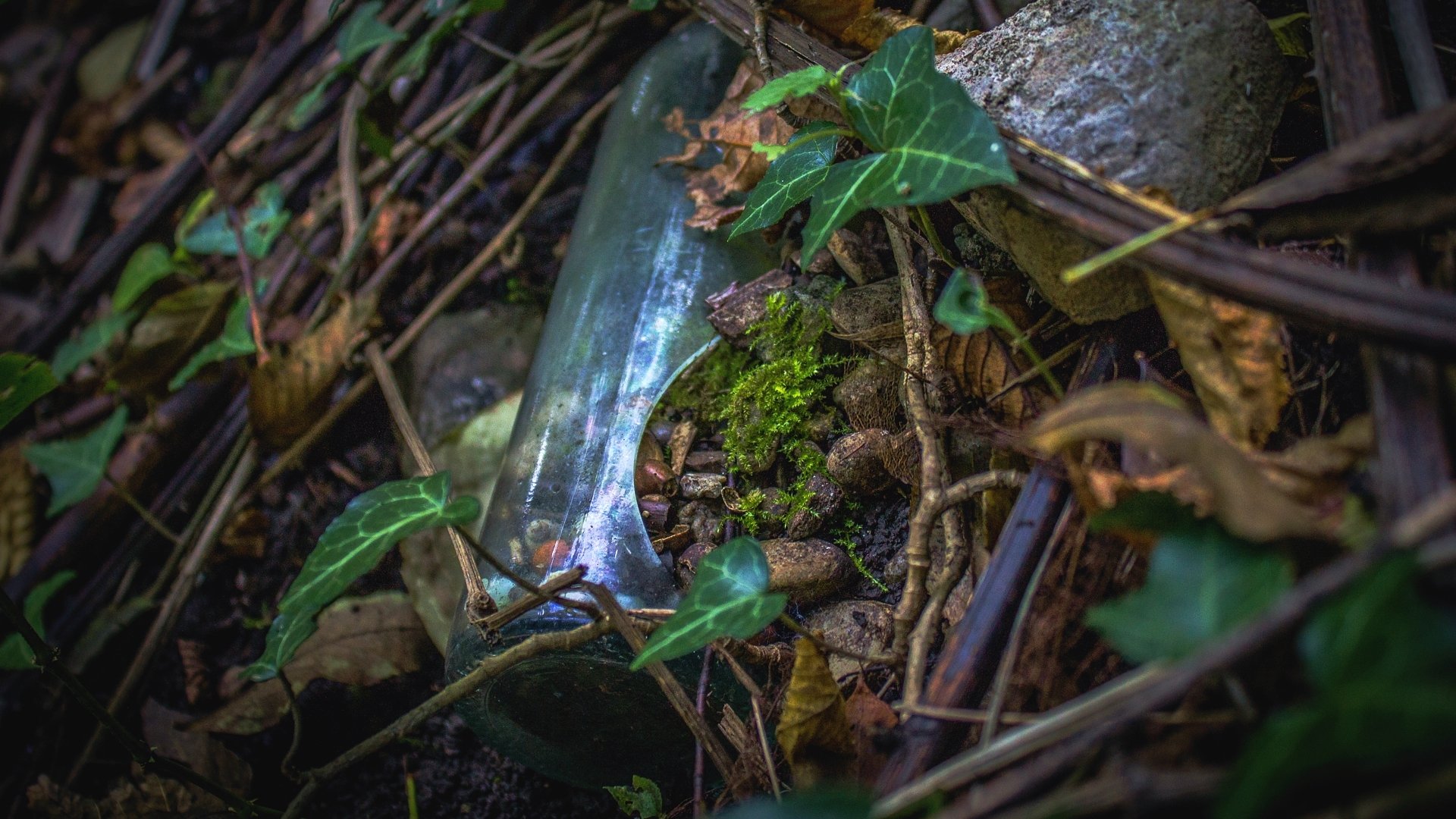 nature by JasminZejnic