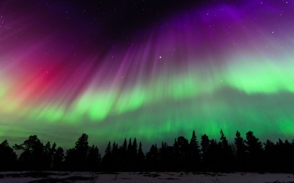 Erde/Natur Aurora Borealis Norwegen Himmel Sterne HD Wallpaper | Hintergrund