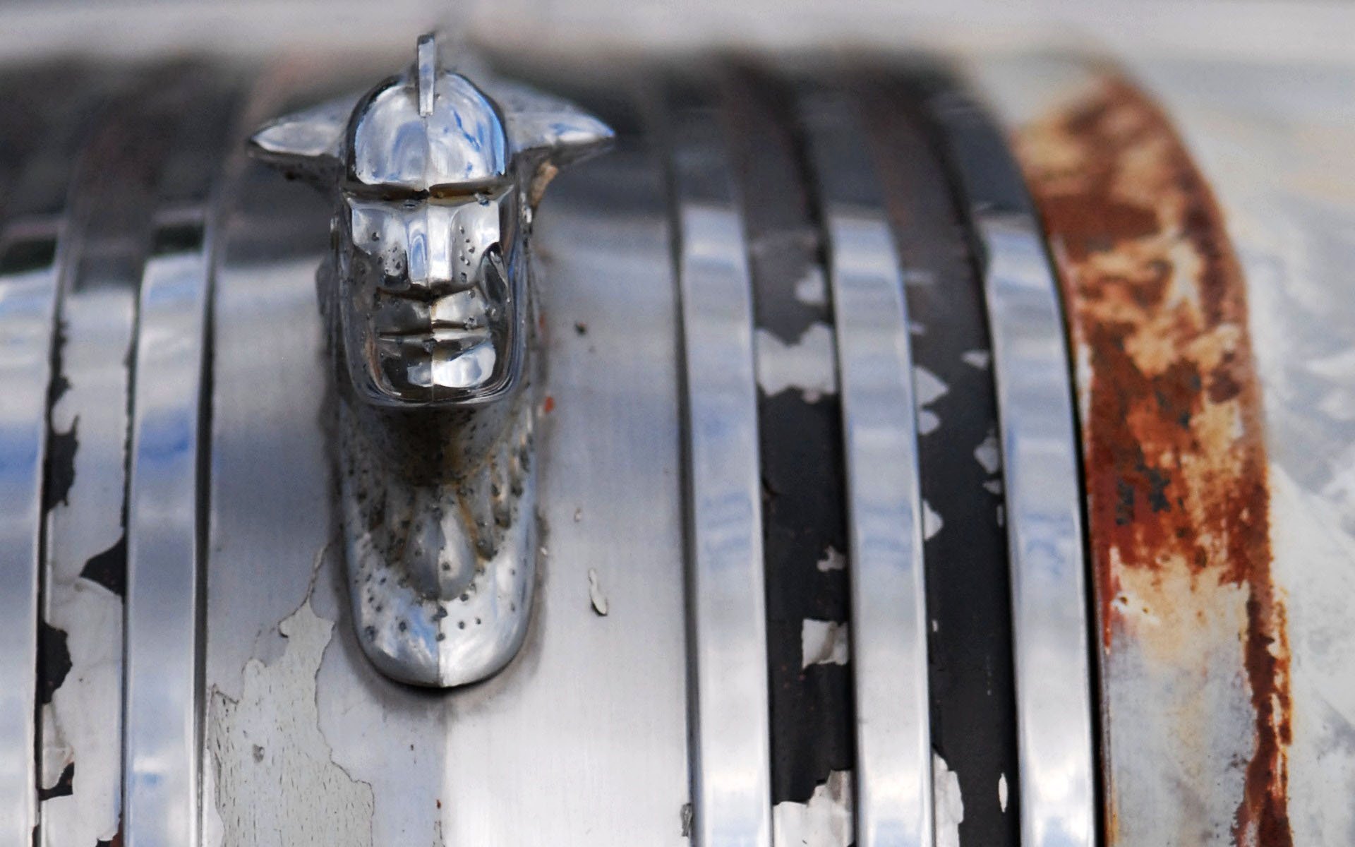 Download Photography Hood Ornament HD Wallpaper