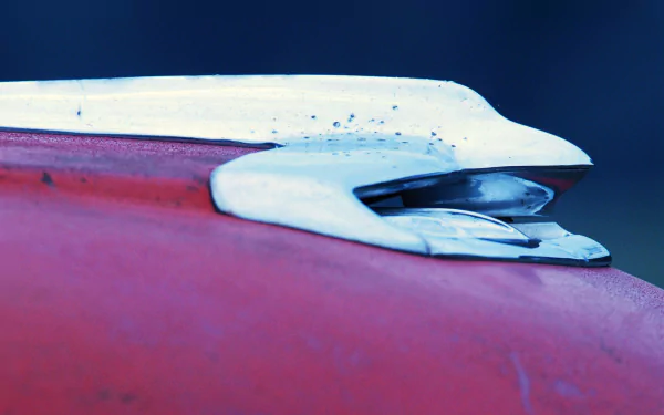 photography Hood Ornament HD Desktop Wallpaper | Background Image