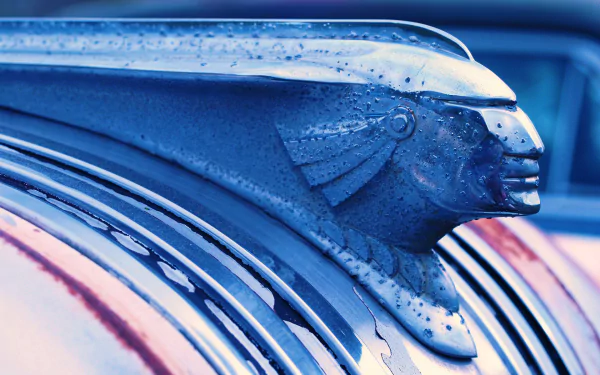 photography Hood Ornament HD Desktop Wallpaper | Background Image