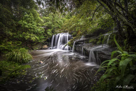 5K Ultra HD PC desktop wallpaper: tranquil Australian forest creek with cascading waterfall, mossy rocks and swirling water beneath a lush green canopy.