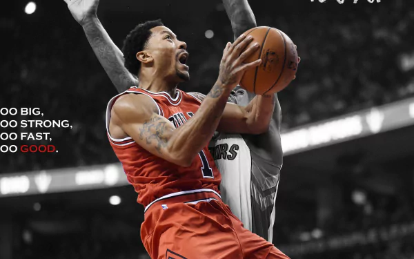 NBA Derrick Rose Chicago Bulls Sports HD Desktop Wallpaper | Background Image