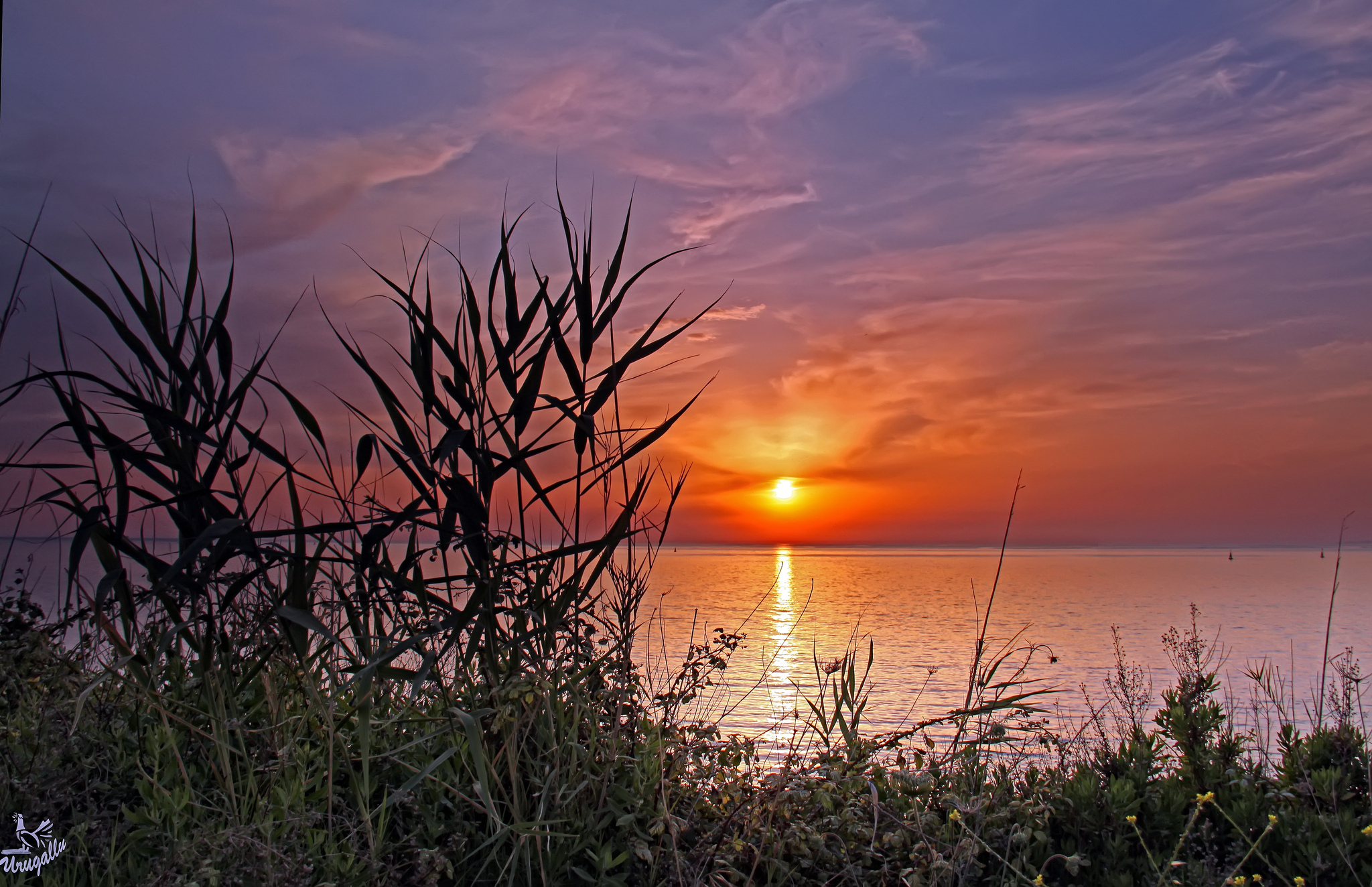 Download Nature Sunset HD Wallpaper