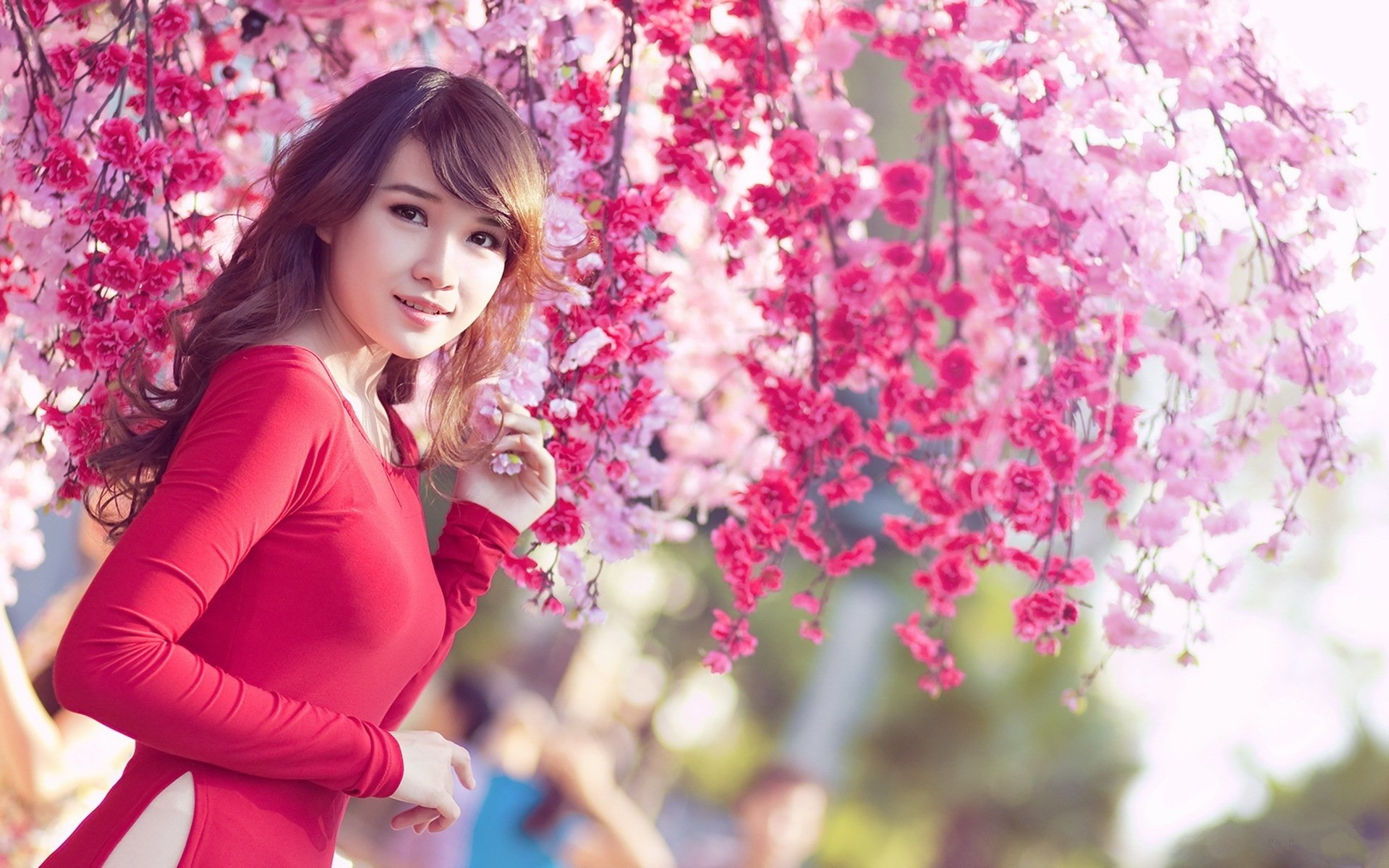 A beautiful woman in a red dress stands under a canopy of vibrant pink blossoms. The image is a high-definition desktop wallpaper and background.