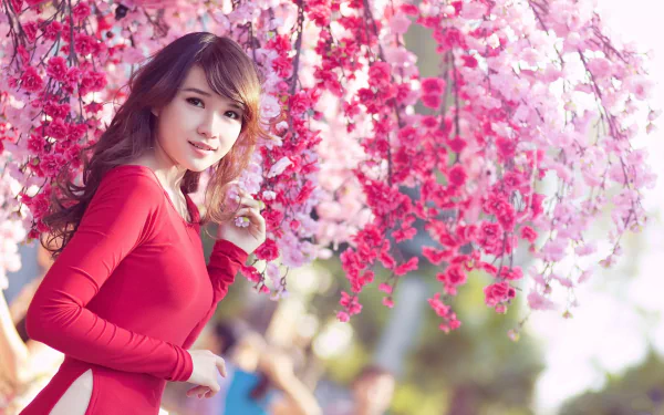 A beautiful woman in a red dress stands under a canopy of vibrant pink blossoms. The image is a high-definition desktop wallpaper and background.