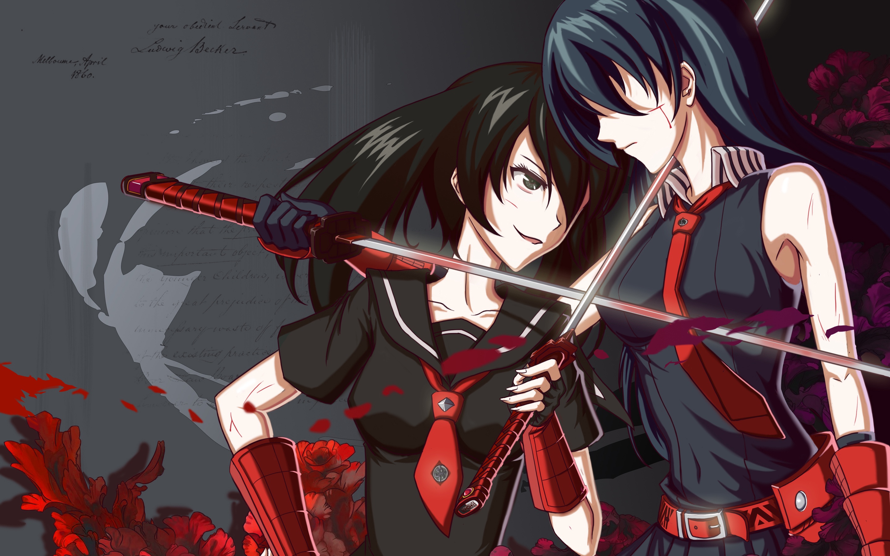 Akame And Kurome Full HD Wallpaper And Background Image