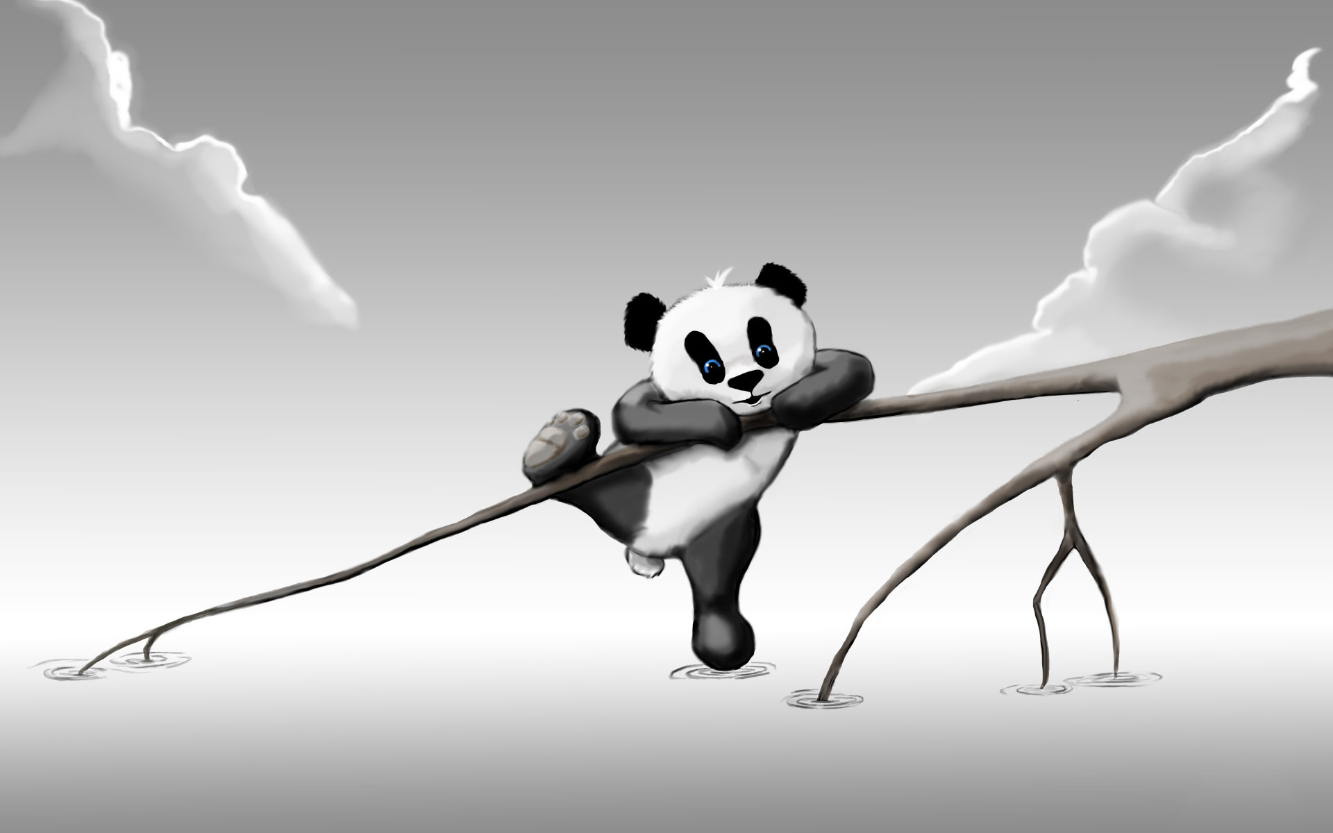 55 Panda Wallpaper Stock Video Footage  4K and HD Video Clips   Shutterstock