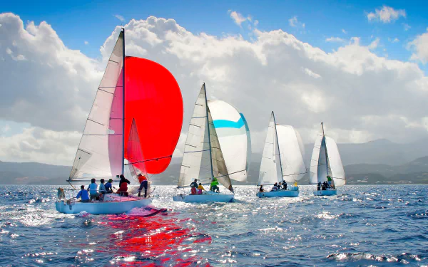 vehicle sailboat HD Desktop Wallpaper | Background Image