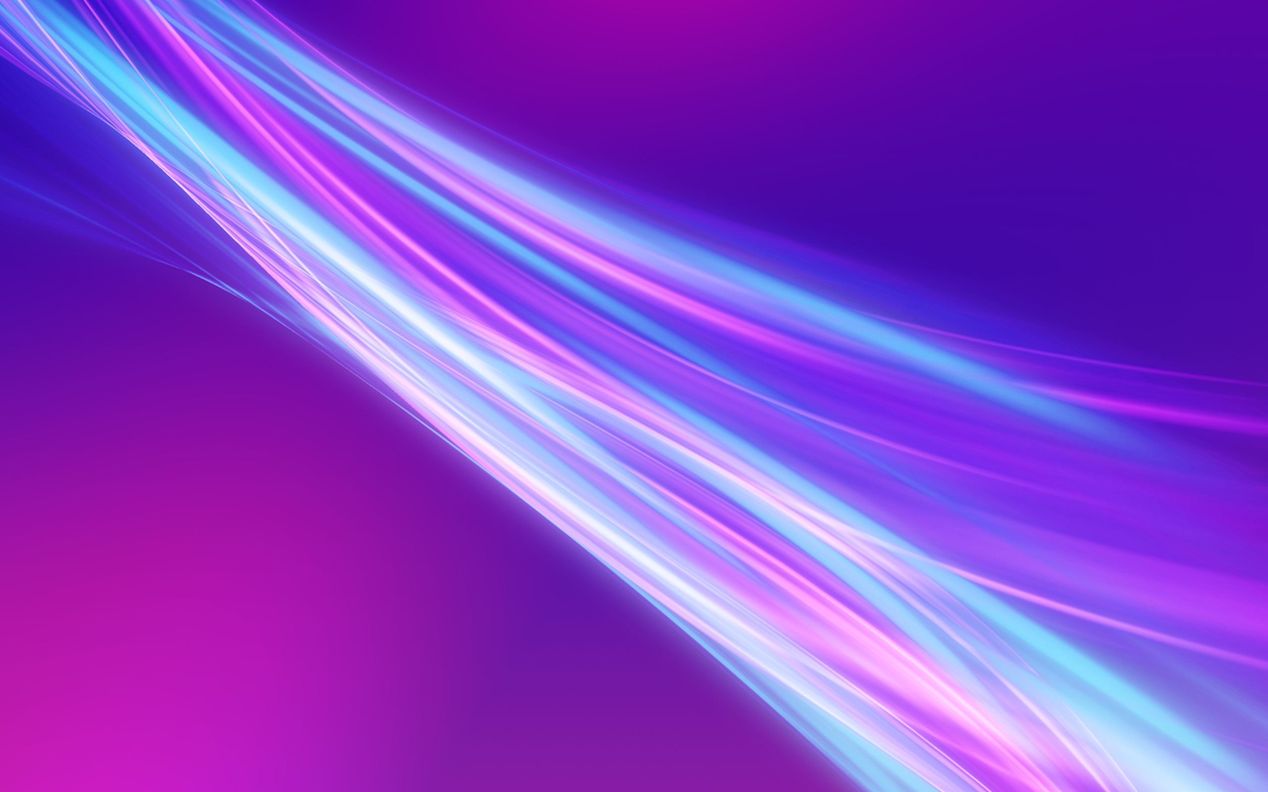 Purple HD Wallpaper | Background Image | 2560x1600 ...