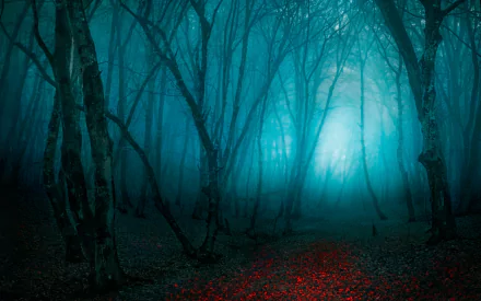 Fog-shrouded nature scene: teal light through twisted trees, red leaf-strewn floor — HD PC desktop wallpaper/background.