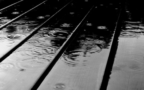 Fotografie Regen Waterdruppel Zwart Hout HD Wallpaper | Achtergrond