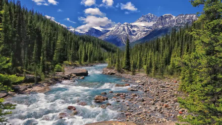  Mistaya River