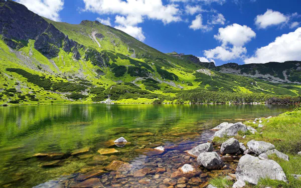 A serene landscape featuring a clear lake surrounded by lush greenery and mountains in Poland, capturing the beauty of nature in an HD desktop wallpaper.