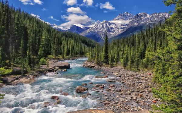  Mistaya River