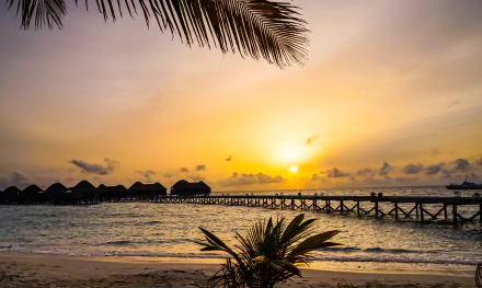 Sunset over the Maldives beach with a wooden pier extending into the sea, palm leaves in the foreground, captured in vibrant 4K Ultra HD at Constance Halaveli Resort.