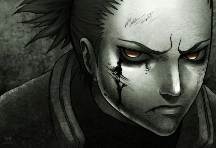 HD desktop wallpaper featuring Shikamaru Nara from the anime Naruto, showcasing a close-up of his intense expression with dark, dramatic shading.